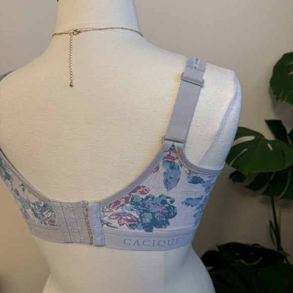 Lane Bryant Bra - Picture 11 of 12